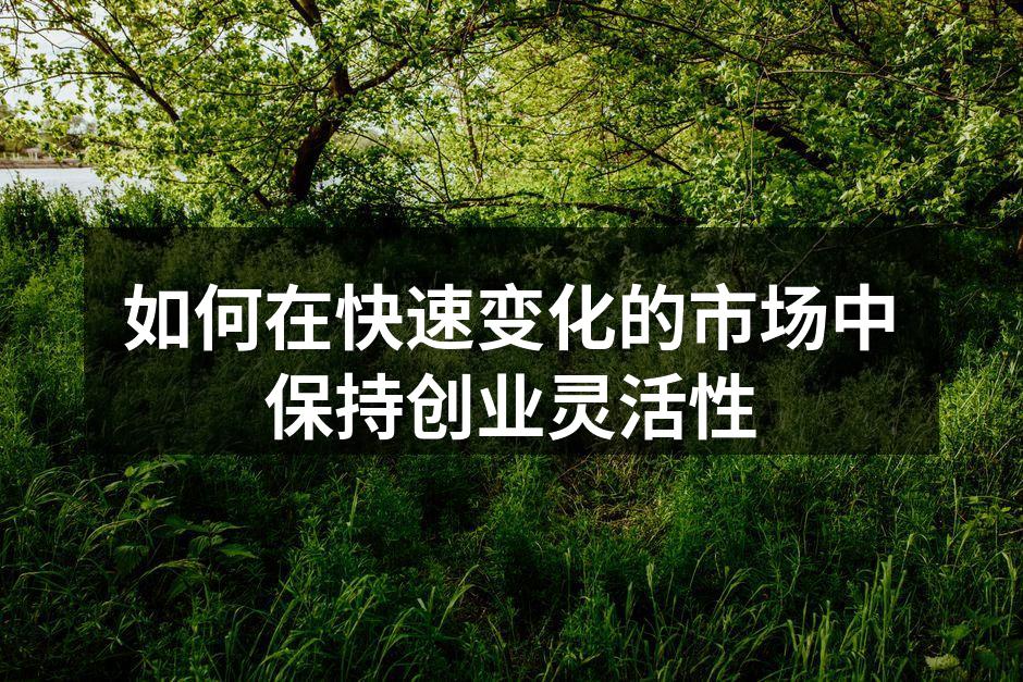 如何在快速变化的市场中保持创业灵活性