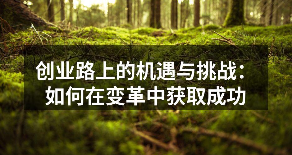 创业路上的机遇与挑战：如何在变革中获取成功
