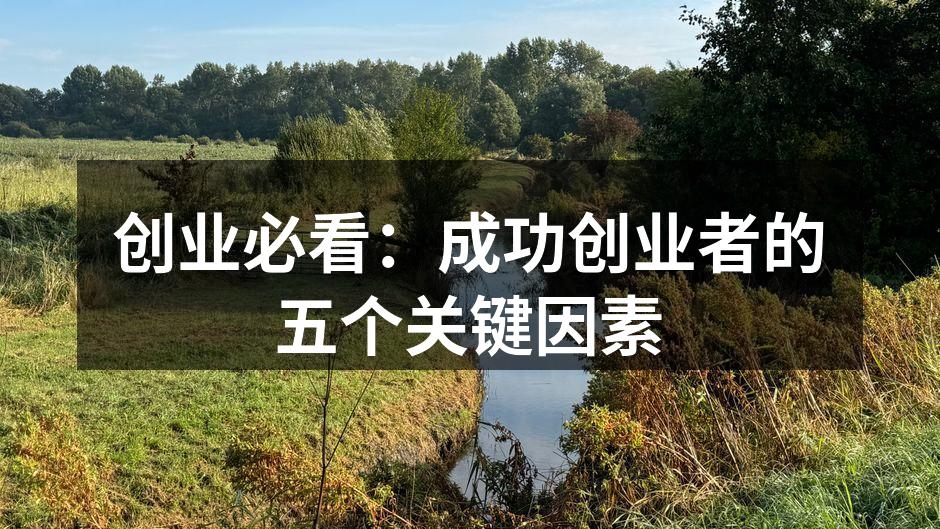 创业必看：成功创业者的五个关键因素