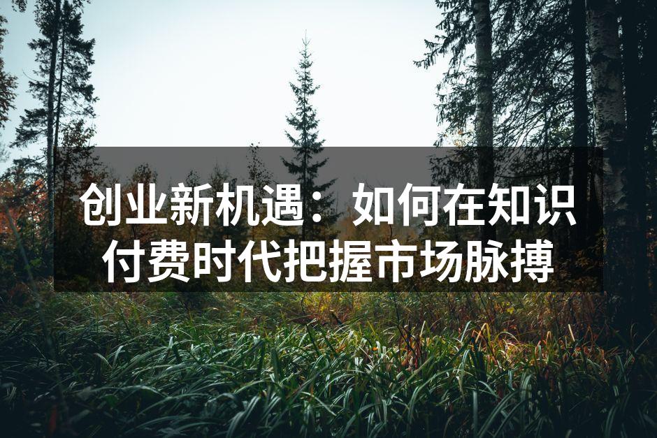 创业新机遇：如何在知识付费时代把握市场脉搏